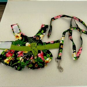 Dog dress and matching leash